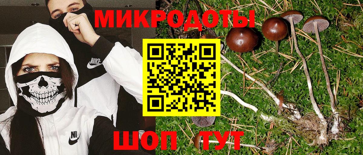 Гатчина  Галлюциногенные грибы GOLDEN TEACHER  Вход с VPN 