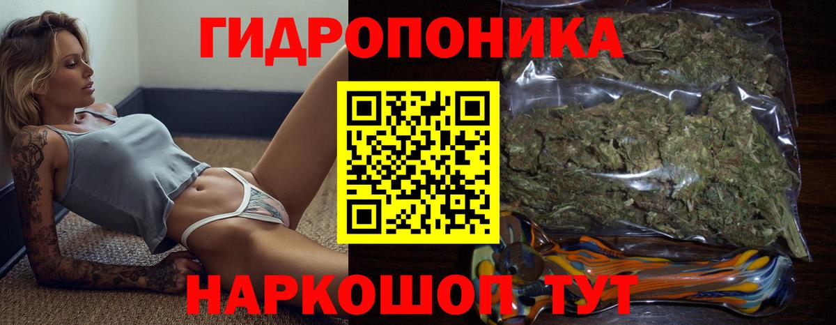 Бошки Шишки марихуана Гатчина